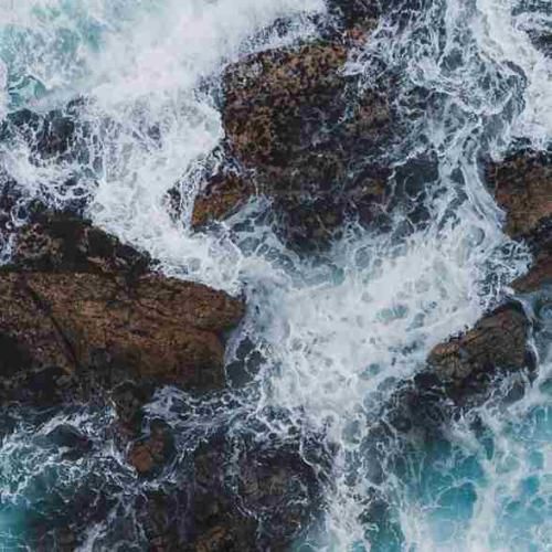 بی بی شارک دو دو دو