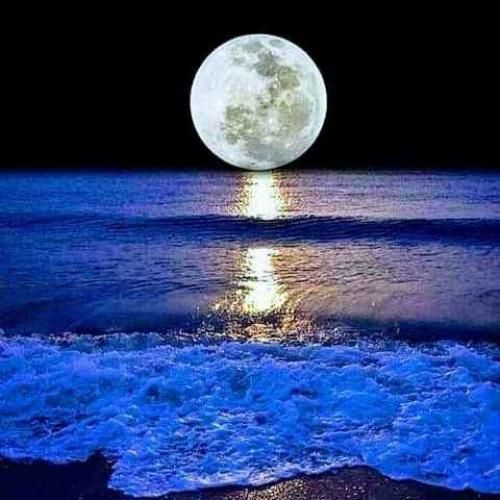 یه سایه میدوئه دنبال من تنها و وحشی رو زمینم