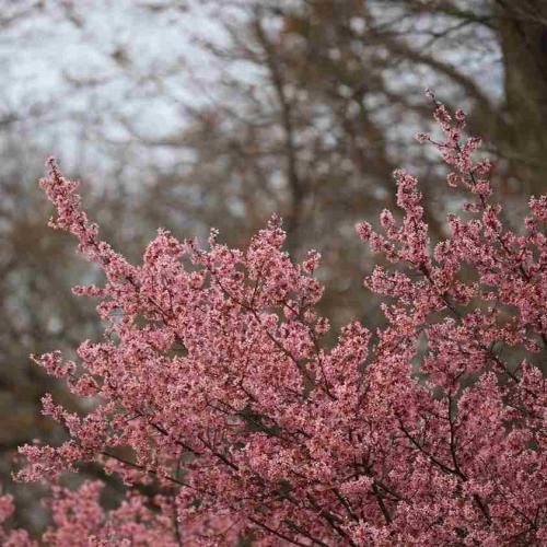  خارجی ما میخوایم مست بکنیم
