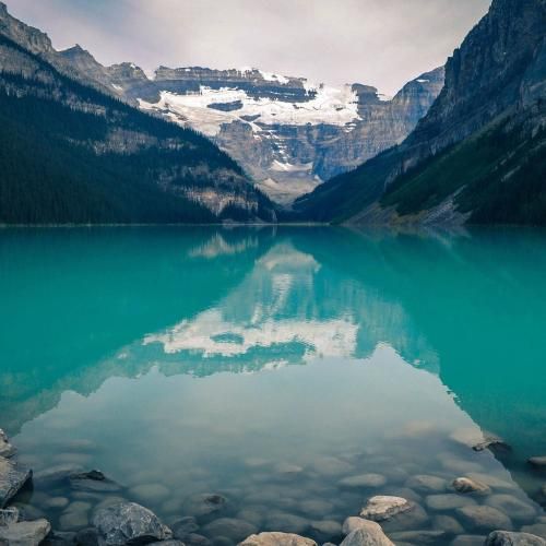  تو قاصدک میشی تو دست باد و من اینجا