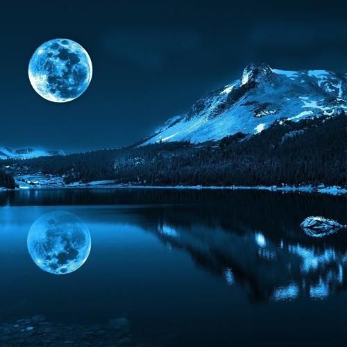 قوی تر میشه اون که میخوره زمین