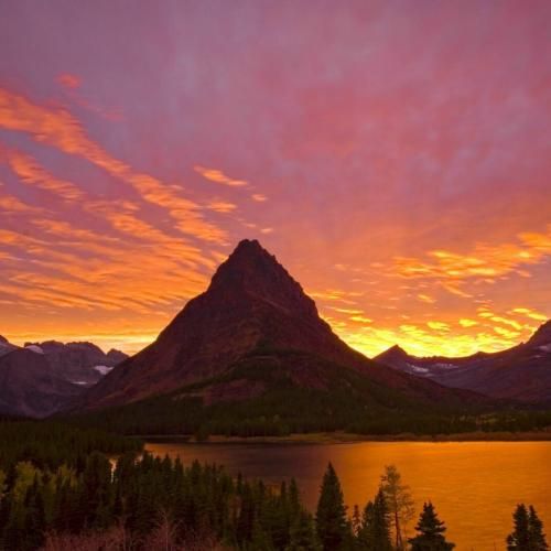  تو خونم میره زهره ماری من که پایت بودم حتی کله خالی