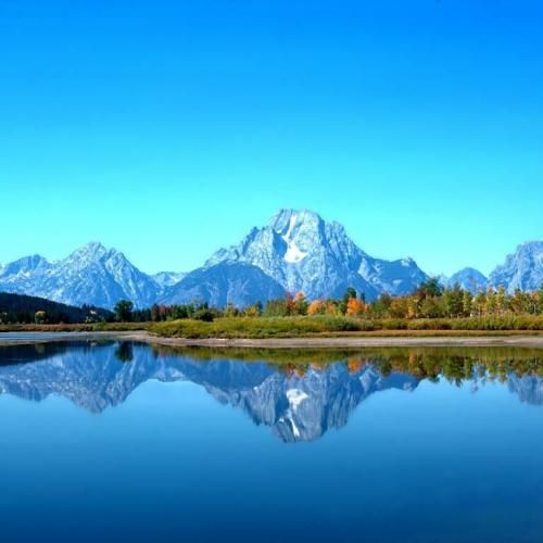 کیو ایو دادم برو برنده ها با من برو