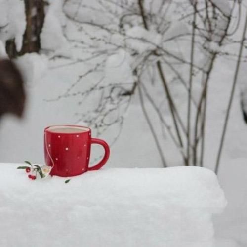  بقیه رو وللش تهران دست من قلقش