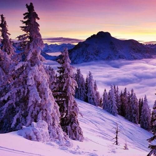 قرار نبود دلمو ول کنی قرار نبود بشه غمگین