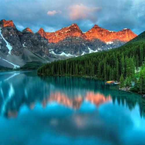  چسبیدم از صبح من به تختم بی انرژی خونه نیست مرتب