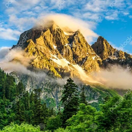  جانم به فدای جانت دست من به دامانت