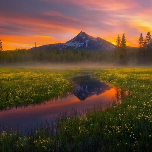 صدامو داری کردی منو ول منو ول منو له دیگه خستم از خاطرات موندگارت