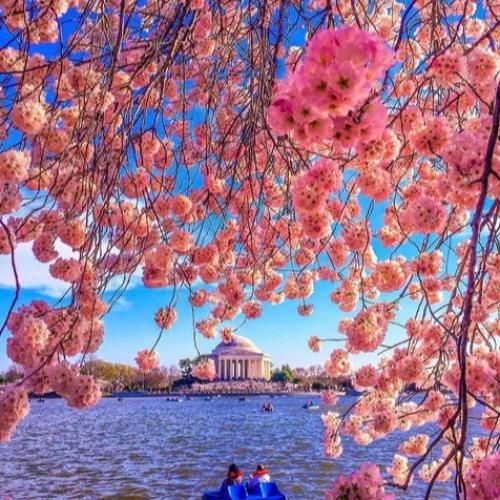  چرا انقدر ازم دوری همونی پیکتم پر کن