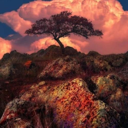  دو دقیقه تو فاز اندیم یهو میرم تو فاز آهنگران