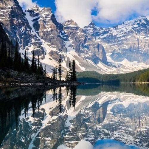 دیدی از پیشت رفت دروغه هرکی میگه میمونه با تو همیشه