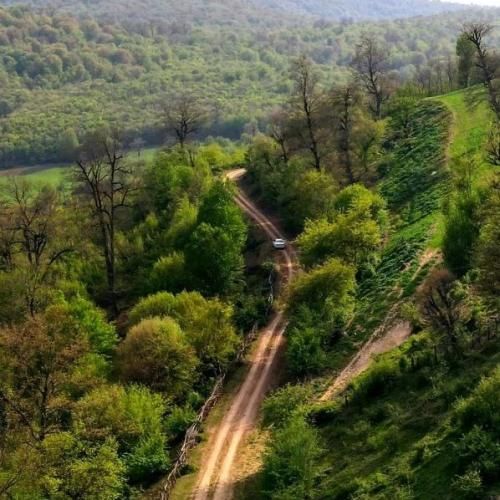  من شدم معتاد تنهایی نه کسی میاد دیگه نه من میرم جایی