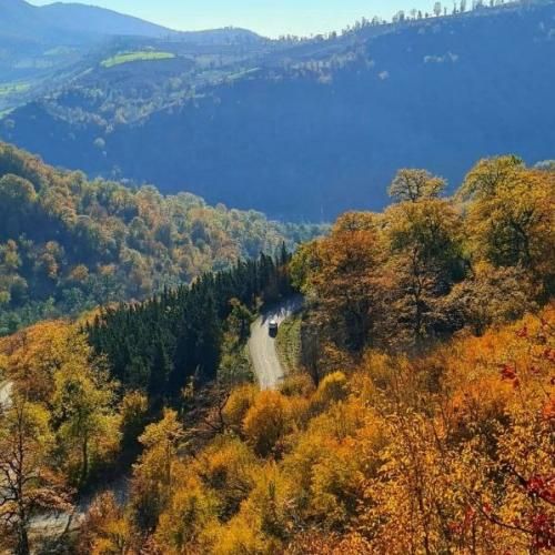  تو که قدر وفامو ندونستی میشد یه رنگ بمونی نتونستی