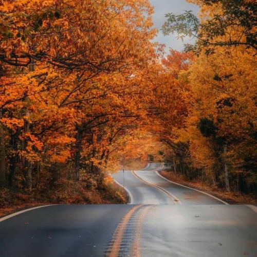  ولی من حالم خوب نی برامم سخته دوری