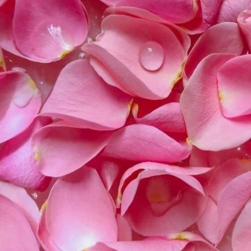  شده لیوانم خالی میخوام دکورتو بیارم پایین