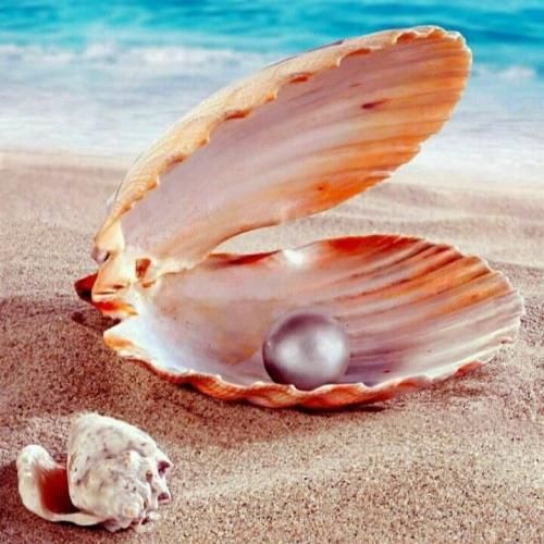  انرژی نداری قدی یه تراپی برو مردی نه ممنون آهنگ کردی اینستایی