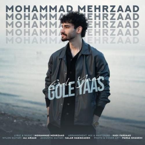 محمد مهرزاد گل یاس