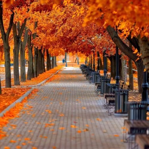  تهرونم همین حوالی دنبال نون حلالیم