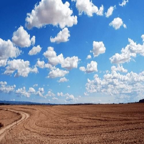 آدما چرتن سیاه و چرکن یه طلسم و رو همه