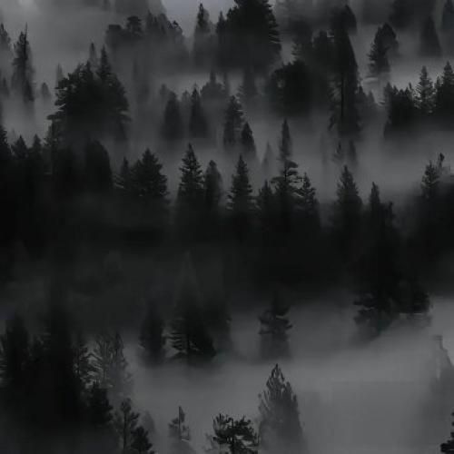  در انتهای هر زمستان که دست ها و ساقه ها