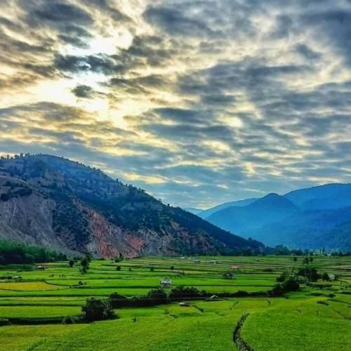  دل من هواتو کرده کاش الان بغلم بودی