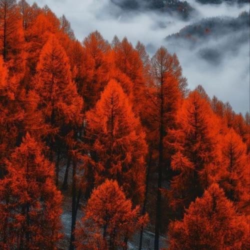  قلبت چند تیکس ولی میخندی