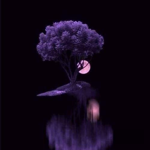 واویلا لیلی دوست دارم خیلی