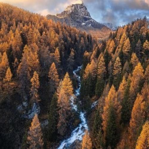   حق دارن همه حسودی کنن به ما بقیه ستاره دارن