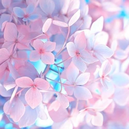 دانلود آهنگ چهار صبح یاد تو میمونم عزیزم با یه بغض