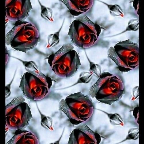 حسم شده بهت بیشتر از قبل کنارمی دیگه