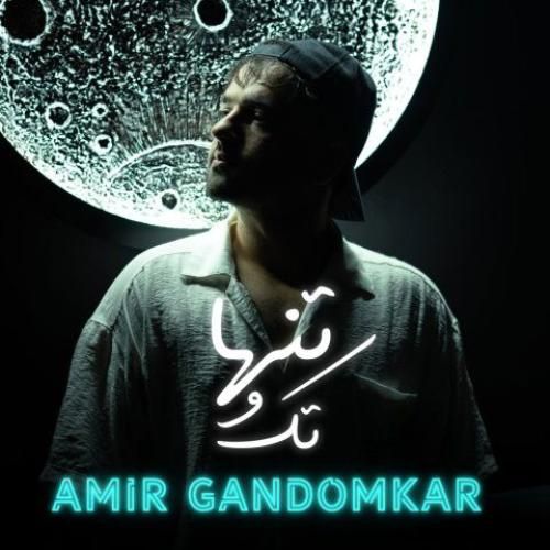 امیر گندم کار تک و تنها