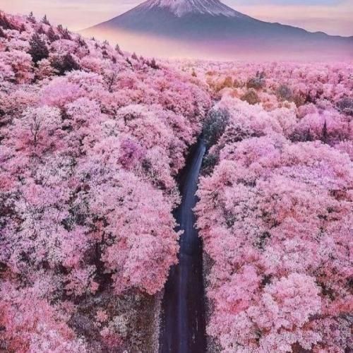 دانلود آهنگ نازارکم دردت سرم عه درد مه نیری خور