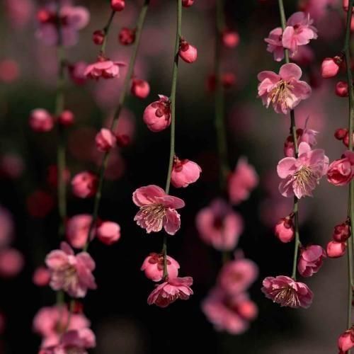 دانلود آهنگ تو یارو بی خدایی به هتین و بی وفایی