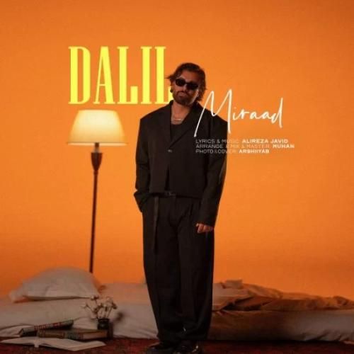 دانلود آهنگ دلیل از میراد