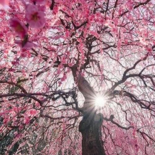 دانلود آهنگ الانم بدجور شدم دلتنگ اون روزایی که رفته