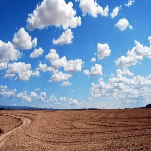 دانلود آهنگ همه امیدمی تو هوام دم تو می دمید