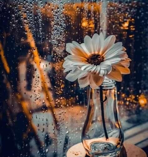 خودت میدونستی چقد دیوونتم بگو اونور دنیا