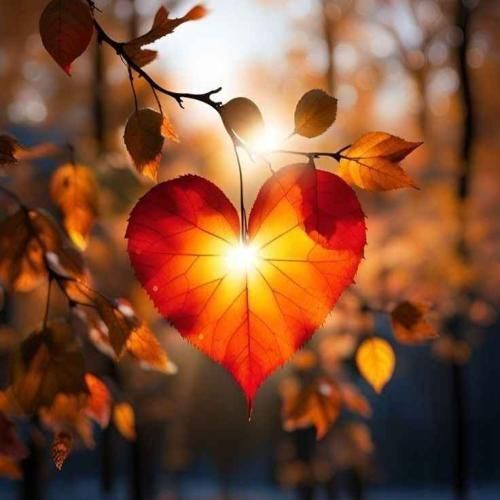 دانلود آهنگ تو یکی بخوا نخوا جون منی