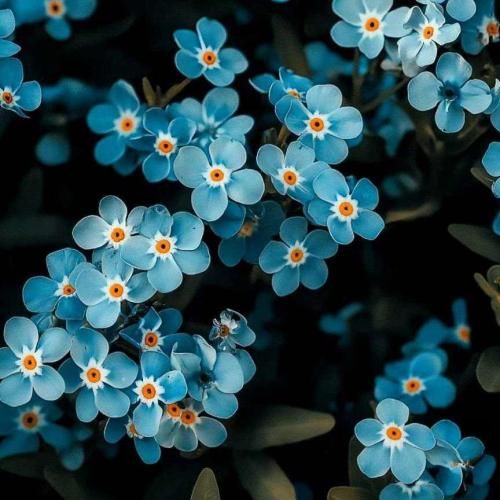 دانلود آهنگ خیابونا به ما اینو کرد دیکته لاشی عین سگ ریخته