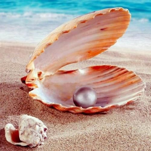 سما خان از پسری خوشم‌ میاد صاحب دین و ایمانه