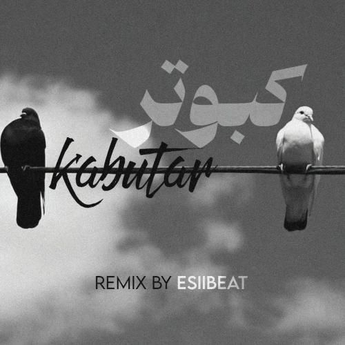 اسی بیت کبوتر