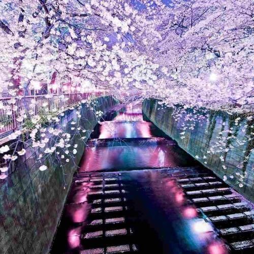 دانلود آهنگ یه ویس کل که اسمم بچر دلم تنگ بیه ارای صدات