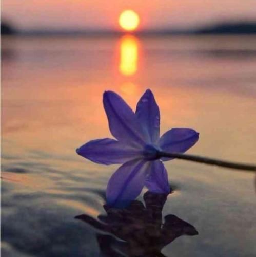 دانلود آهنگ تو که هم غصه و همدم نداری بگو پس کی تو