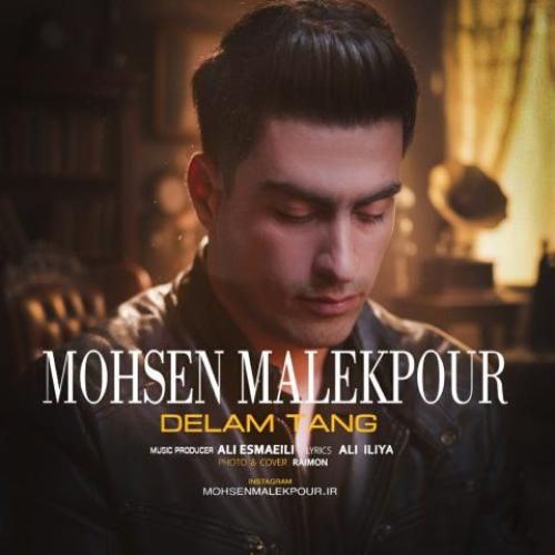 دانلود آهنگ دلم تنگ از محسن ملک پور