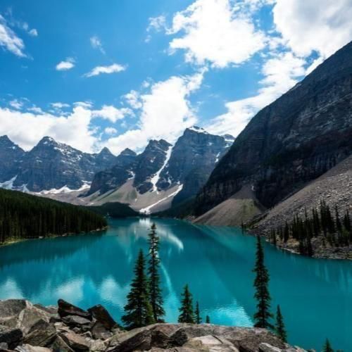  فقط تو نمیشناسیم همه میشناسن زده تکس دادی ننویس واسم