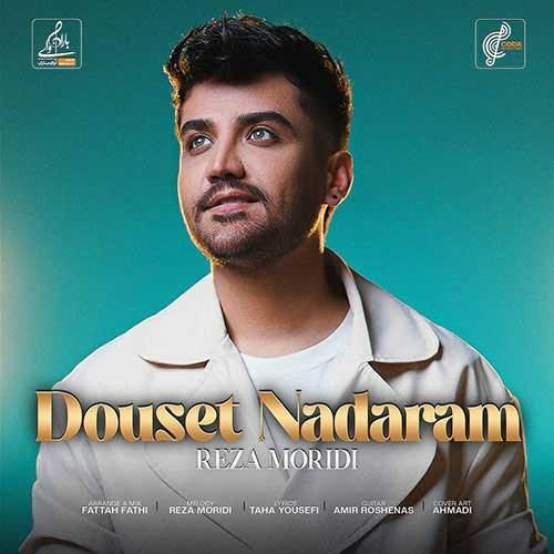 دانلود آهنگ دوست ندارم از رضا مریدی