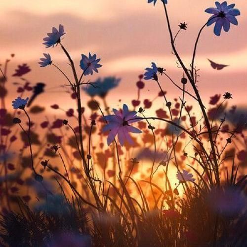 دانلود ریمیکس یکم حالم بده کوکین زدم با یه خره