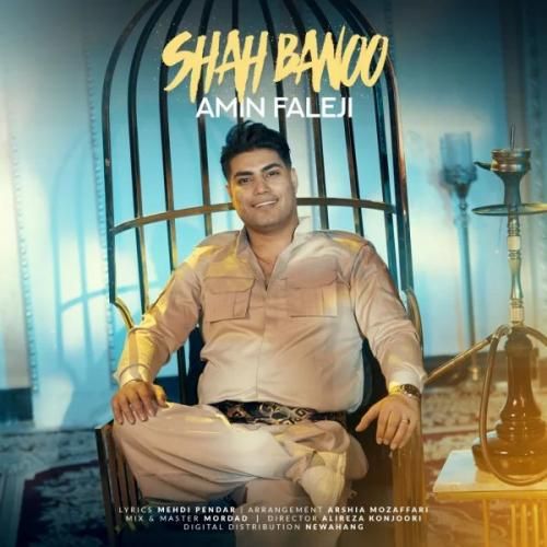 دانلود آهنگ شاه بانو از امین فالجی