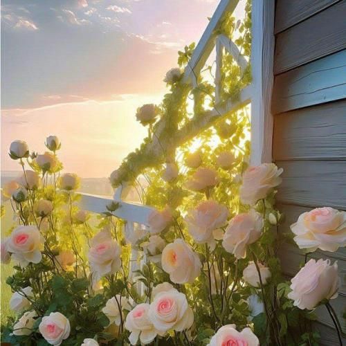 دانلود آهنگ تو حتی بدترین آدم زمینم باشی ما ول نمیکنیم