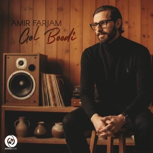 امیر فرجام گل بودی